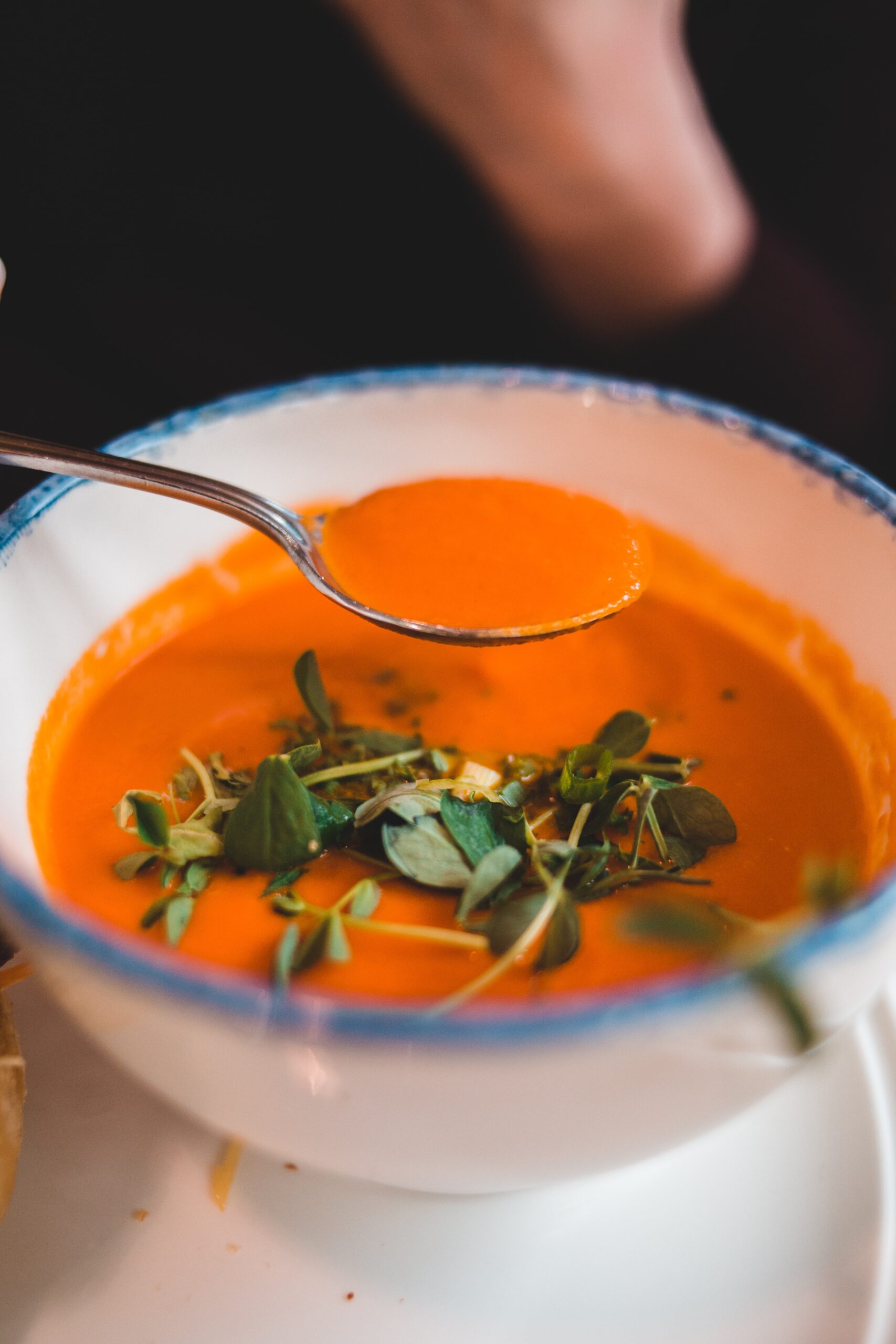 Tomato & Basil Soup