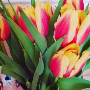 5e0b09725cebe5855e5e766567e39d6a