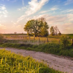 tomasz-filipek-CUWC-6MRcNg-unsplash